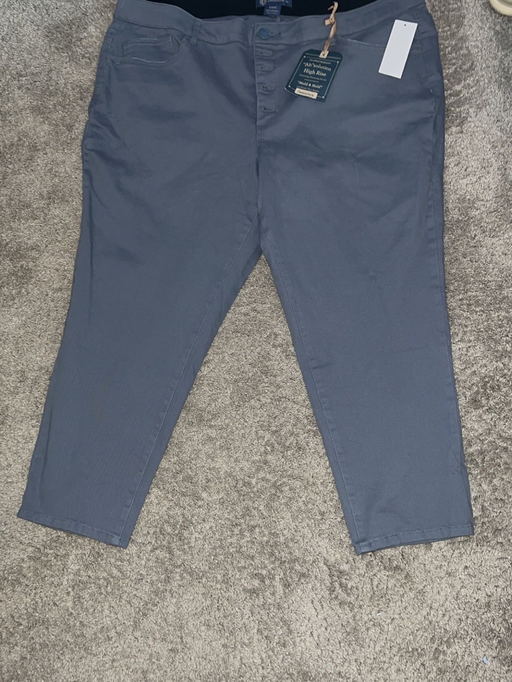 Democracy Ab Solution Gray Jeggings Jeans Size 24W
